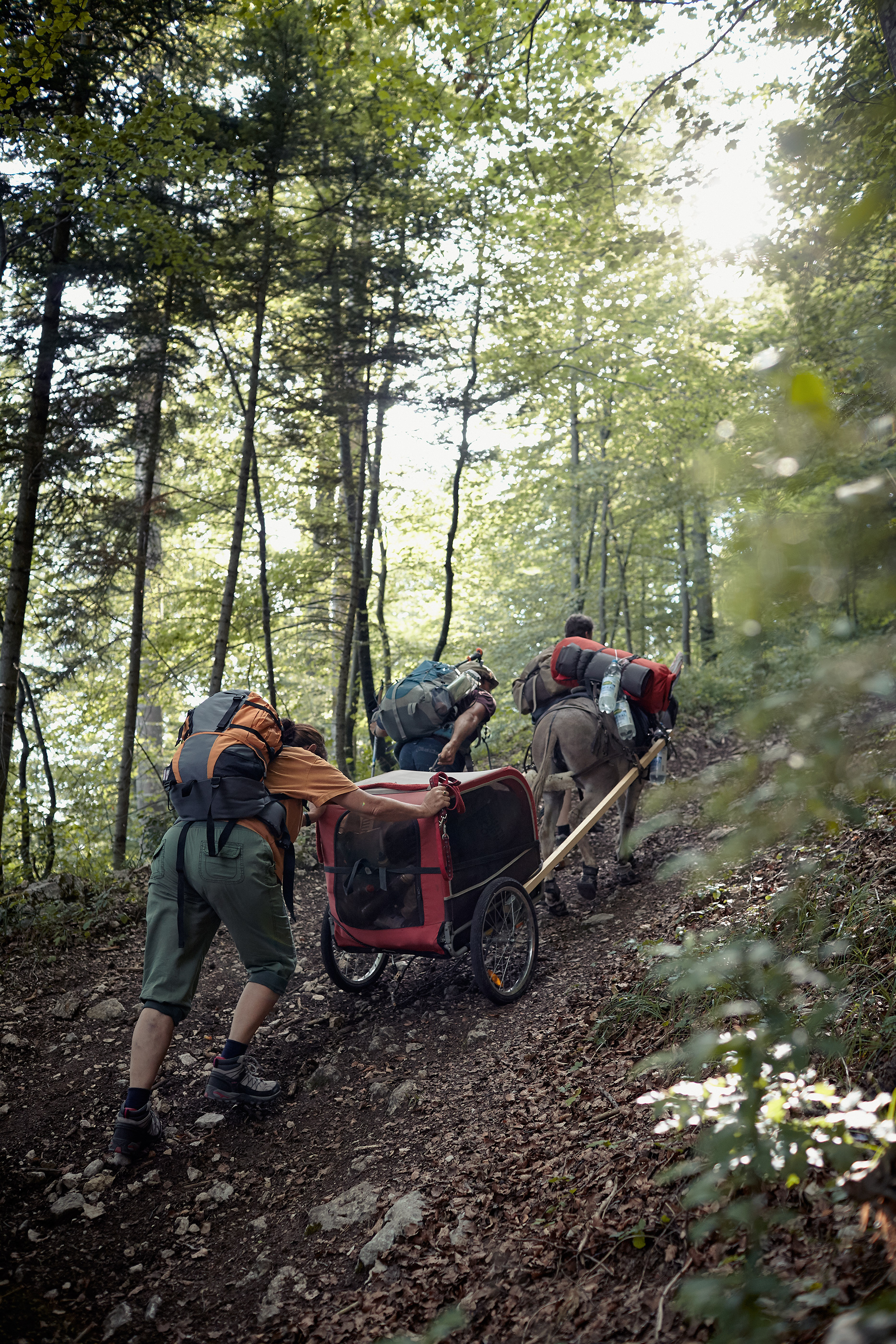 Reportage, Fotograf, Esel Trekking Jura, Noe Thiel